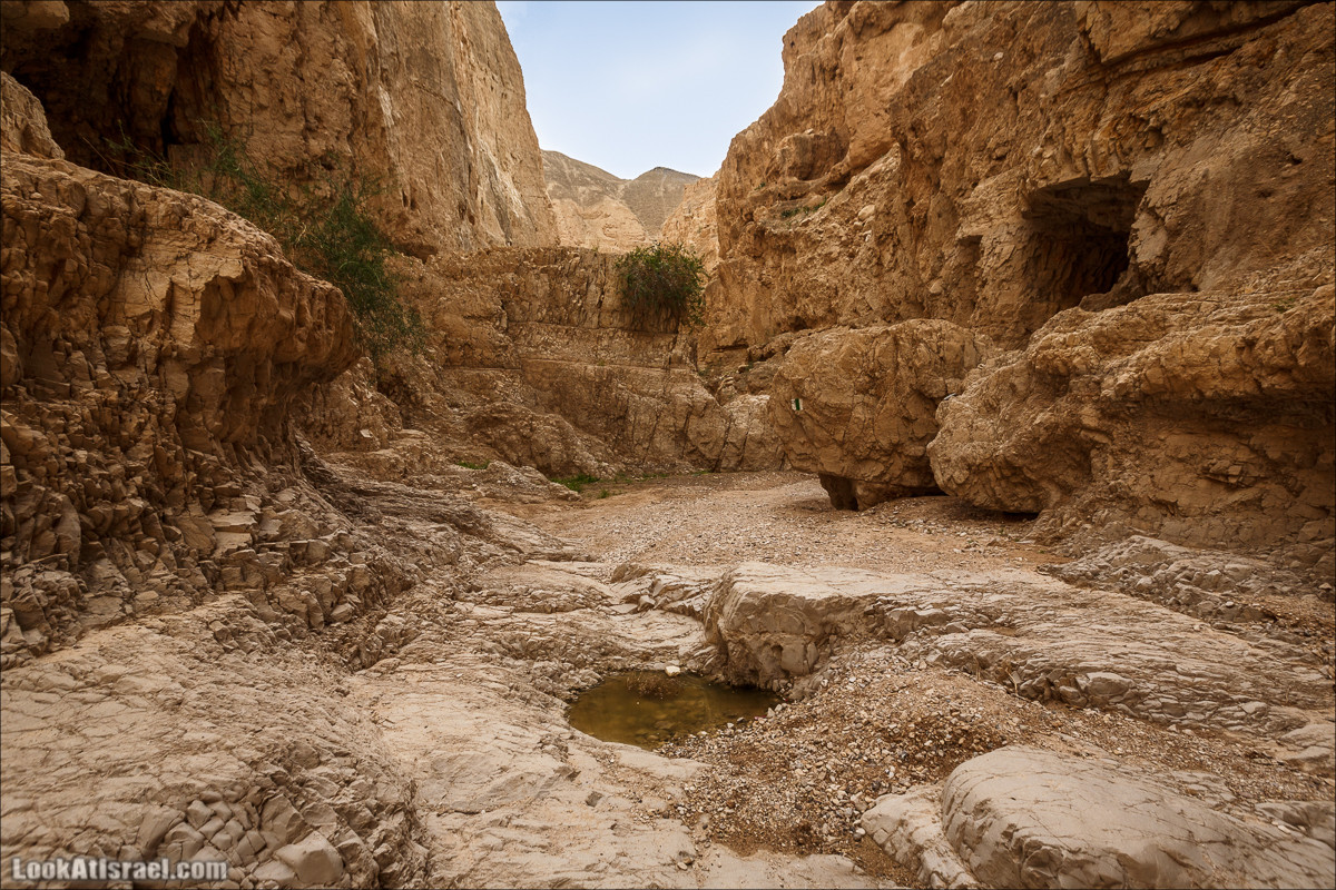 Ущелье Нахаль Ог | Wadi Nahal Og | נחל אוג | LookAtIsrael.com - Фото путешествия по Израилю Ущелье Нахаль Ог | Wadi Nahal Og | נחל אוג | LookAtIsrael.com - Фото путешествия по Израилю