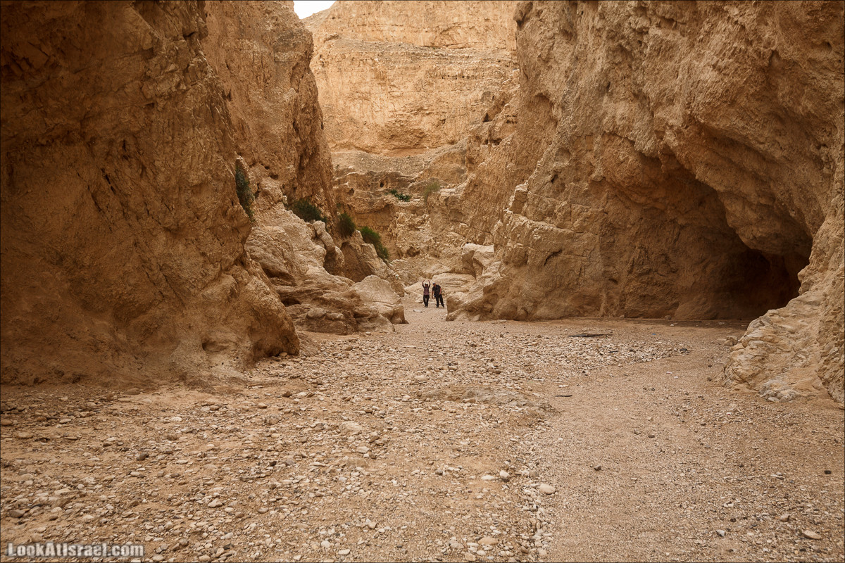 Ущелье Нахаль Ог | Wadi Nahal Og | נחל אוג | LookAtIsrael.com - Фото путешествия по Израилю Ущелье Нахаль Ог | Wadi Nahal Og | נחל אוג | LookAtIsrael.com - Фото путешествия по Израилю