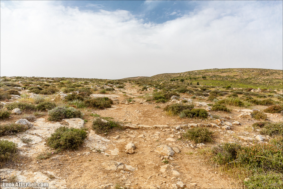 Пасхальный исход из будней по пути Авраама | LookAtIsrael.com - Фото путешествия по Израилю