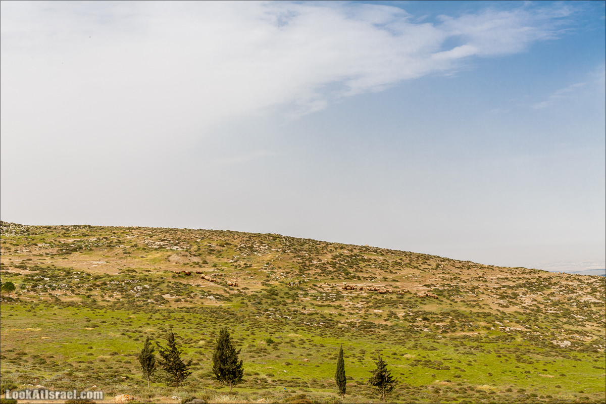 Пасхальный исход из будней по пути Авраама | LookAtIsrael.com - Фото путешествия по Израилю