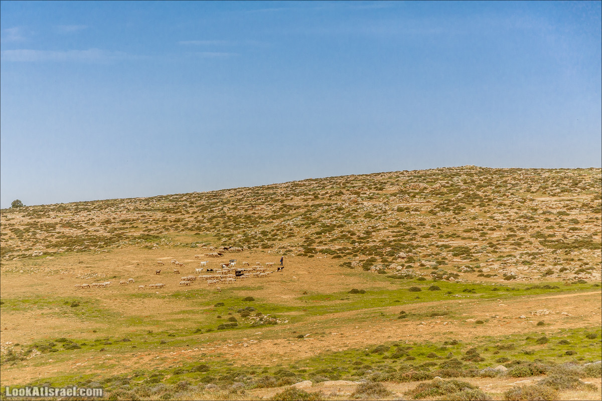 Пасхальный исход из будней по пути Авраама | LookAtIsrael.com - Фото путешествия по Израилю