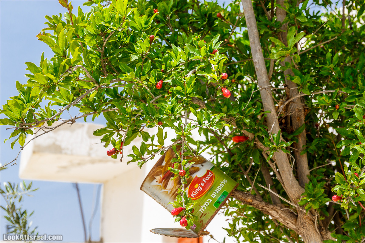 Пасхальный исход из будней по пути Авраама | LookAtIsrael.com - Фото путешествия по Израилю