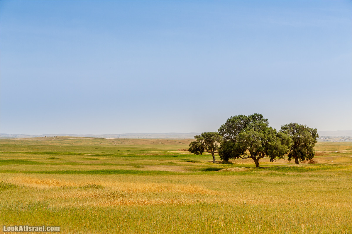 Пасхальный исход из будней по пути Авраама | LookAtIsrael.com - Фото путешествия по Израилю
