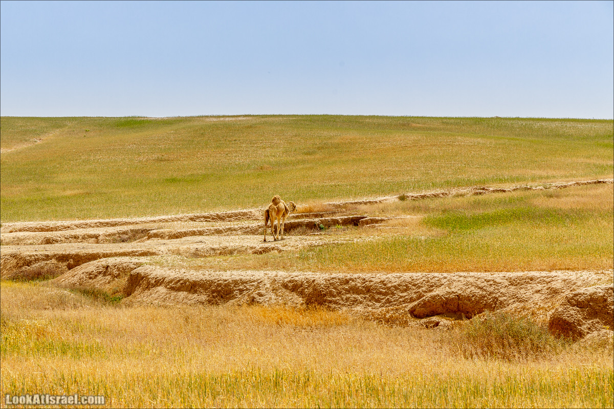 Пасхальный исход из будней по пути Авраама | LookAtIsrael.com - Фото путешествия по Израилю