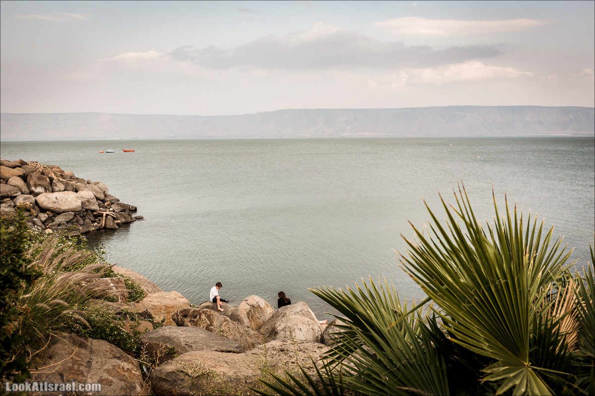 Тверия | LookAtIsrael.com - Фото путешествия по Израилю