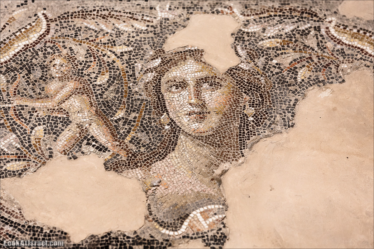 Циппори - пазл на миллиарды кусочков