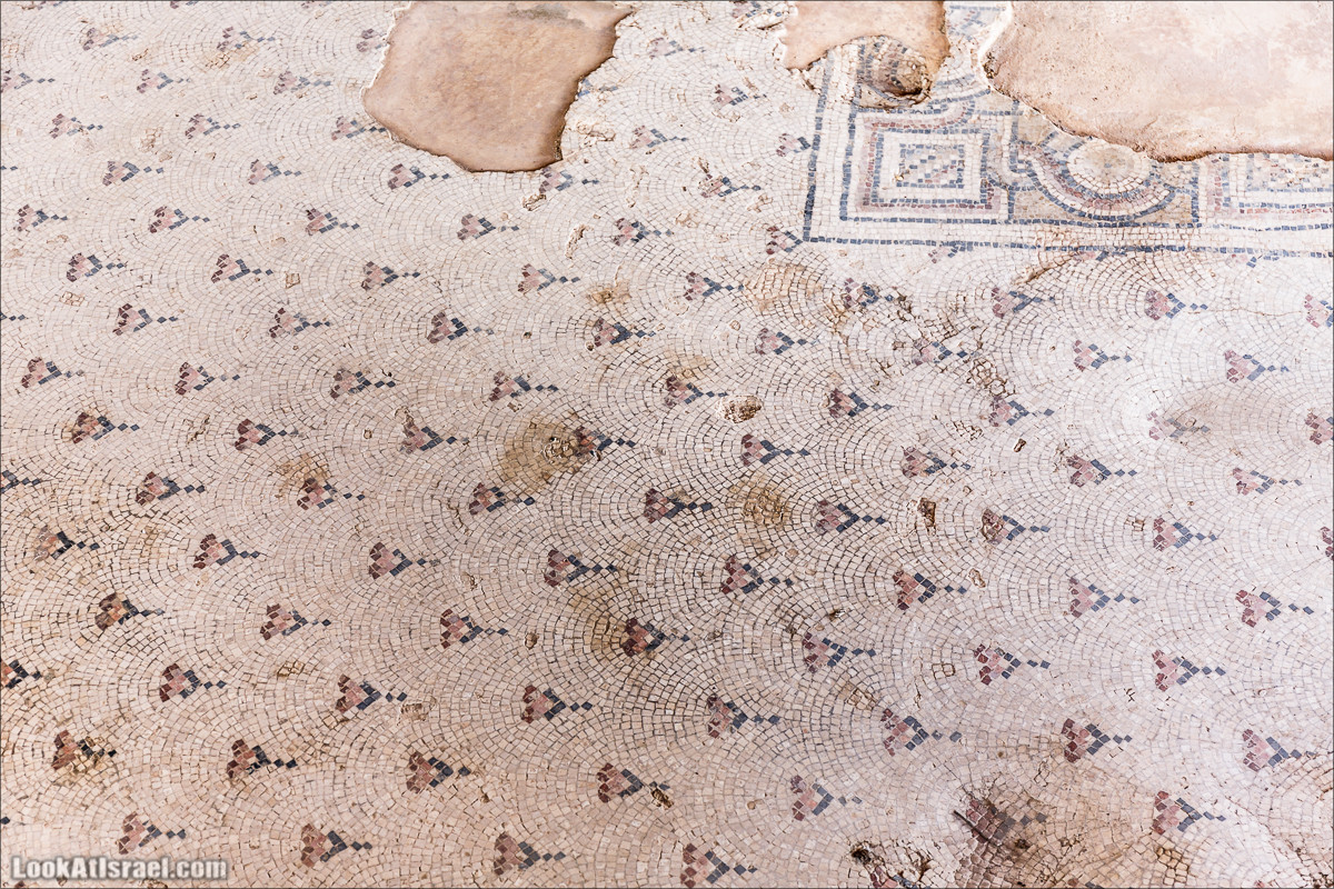 Мозаики в Ципори | LookAtIsrael.com - Фото путешествия по Израилю