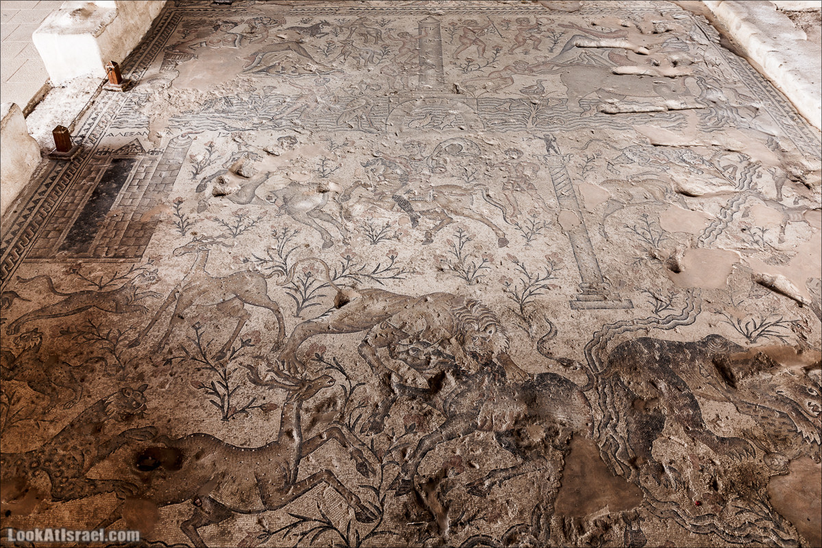 Мозаики в Ципори | LookAtIsrael.com - Фото путешествия по Израилю