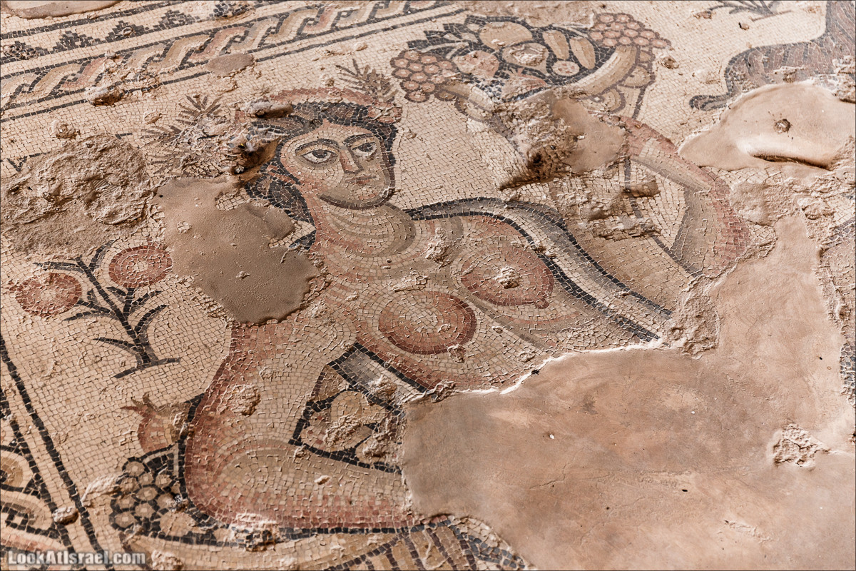 Мозаики в Ципори | LookAtIsrael.com - Фото путешествия по Израилю