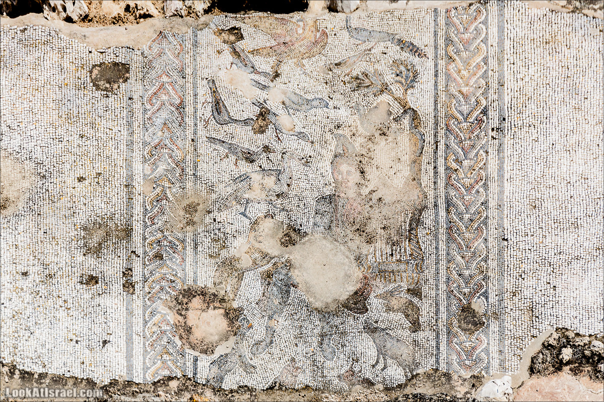 Мозаики в Ципори | LookAtIsrael.com - Фото путешествия по Израилю