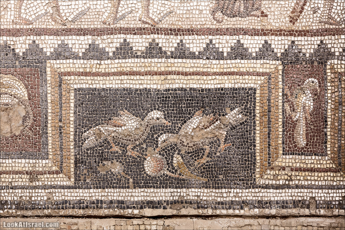 Мозаики в Ципори | LookAtIsrael.com - Фото путешествия по Израилю