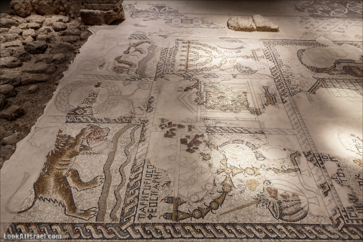 Мозаики в Ципори | LookAtIsrael.com - Фото путешествия по Израилю