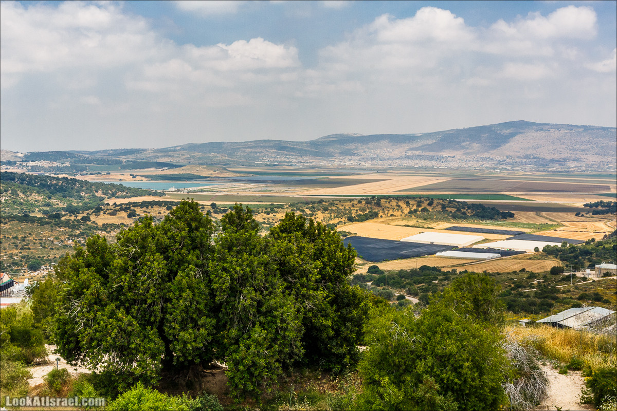 Мозаики в Ципори | LookAtIsrael.com - Фото путешествия по Израилю