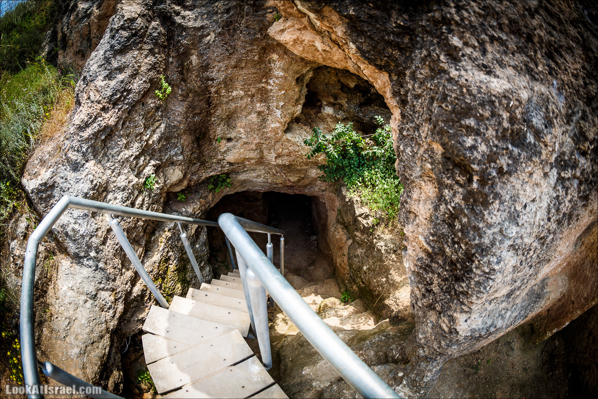 Мозаики в Ципори | LookAtIsrael.com - Фото путешествия по Израилю