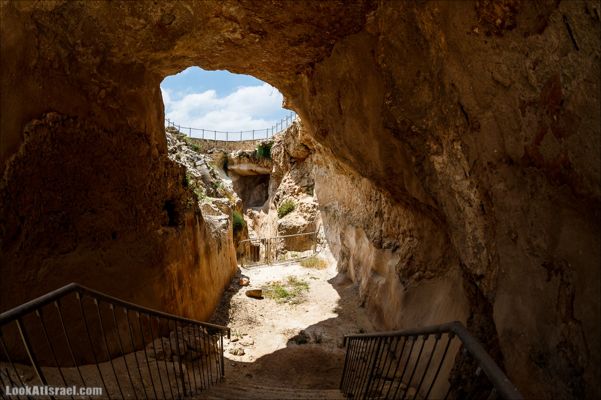 Мозаики в Ципори | LookAtIsrael.com - Фото путешествия по Израилю