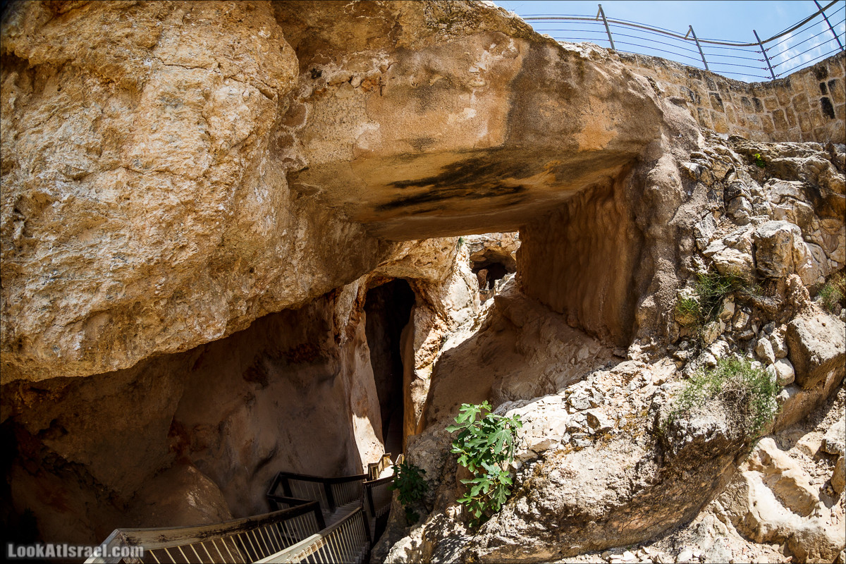 Мозаики в Ципори | LookAtIsrael.com - Фото путешествия по Израилю