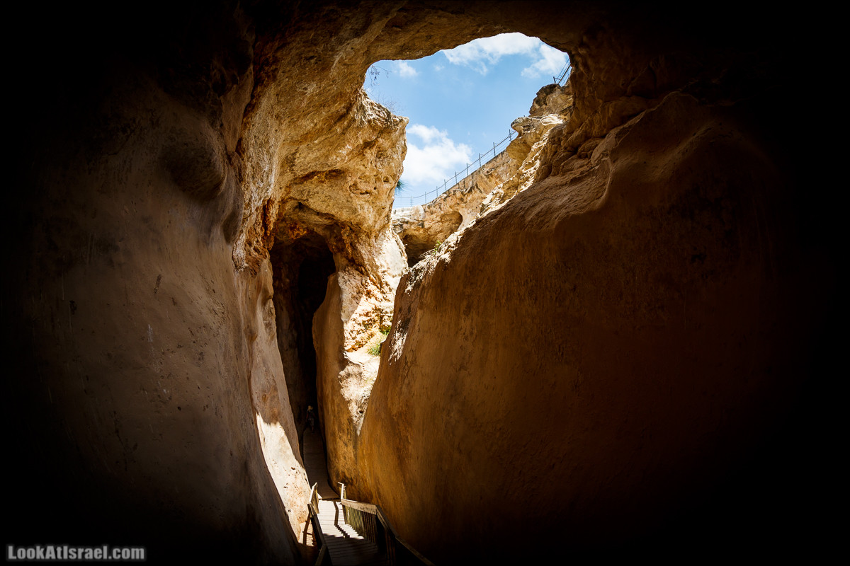 Мозаики в Ципори | LookAtIsrael.com - Фото путешествия по Израилю