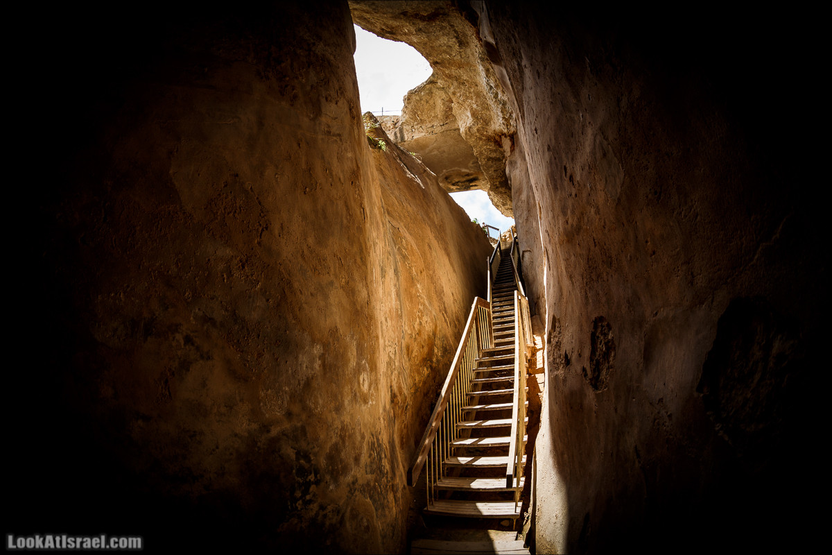 Мозаики в Ципори | LookAtIsrael.com - Фото путешествия по Израилю