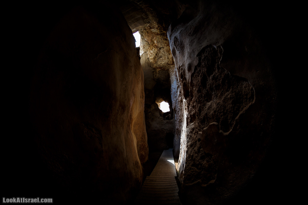 Мозаики в Ципори | LookAtIsrael.com - Фото путешествия по Израилю