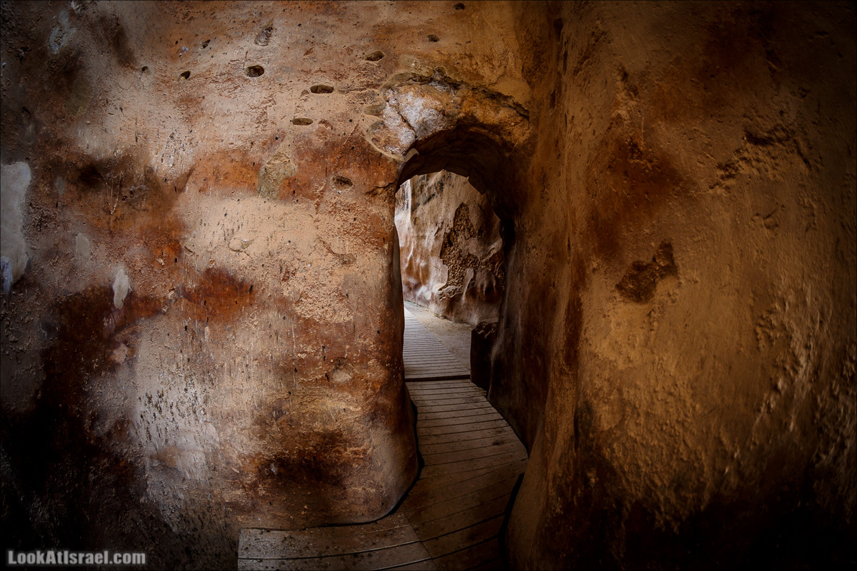 Мозаики в Ципори | LookAtIsrael.com - Фото путешествия по Израилю