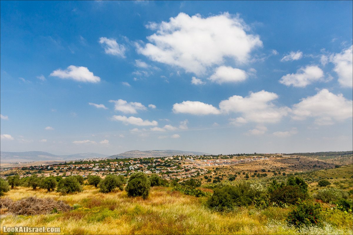 Мозаики в Ципори | LookAtIsrael.com - Фото путешествия по Израилю