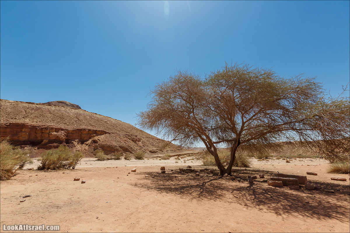 Махтеш Рамон с воздуха и бездорожья | LookAtIsrael.com - Фото путешествия по Израилю