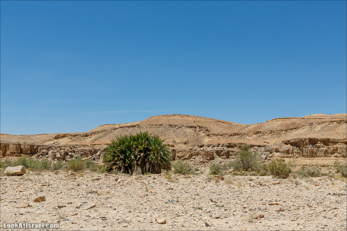 Махтеш Рамон с воздуха и бездорожья | LookAtIsrael.com - Фото путешествия по Израилю