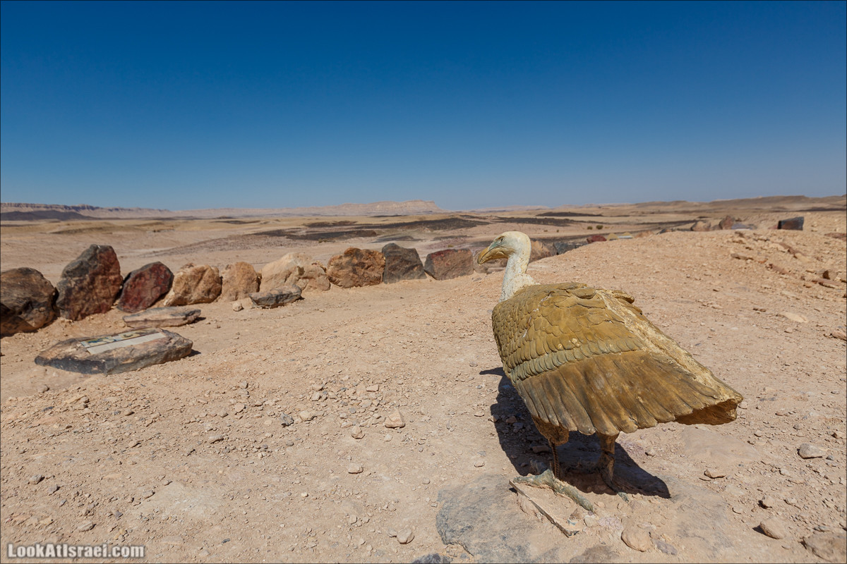 Махтеш Рамон с воздуха и бездорожья | LookAtIsrael.com - Фото путешествия по Израилю