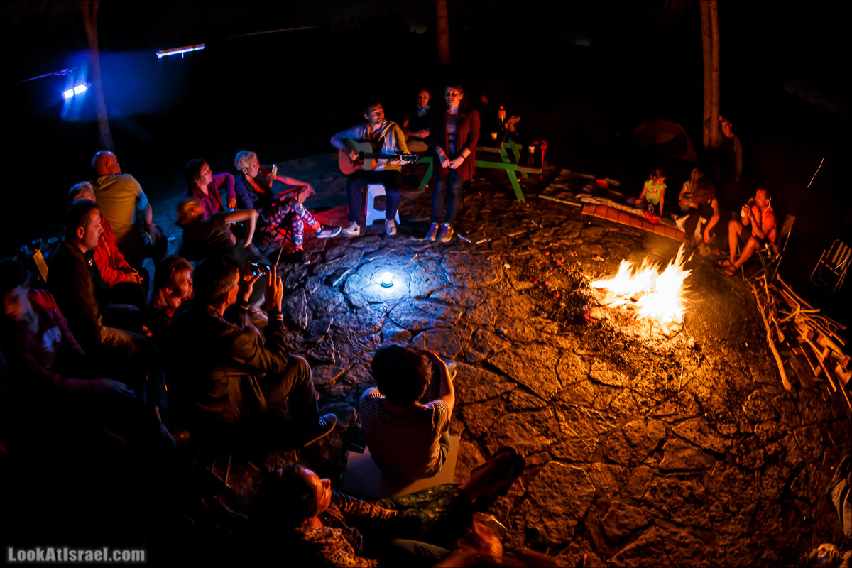 Прогулка по лесу Офер на горе Кармель | LookAtIsrael.com - Фото путешествия по Израилю