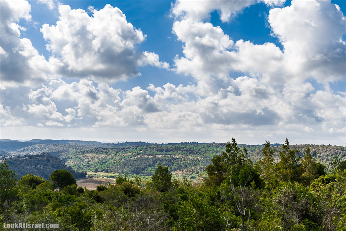 Прогулка по лесу Офер на горе Кармель | LookAtIsrael.com - Фото путешествия по Израилю