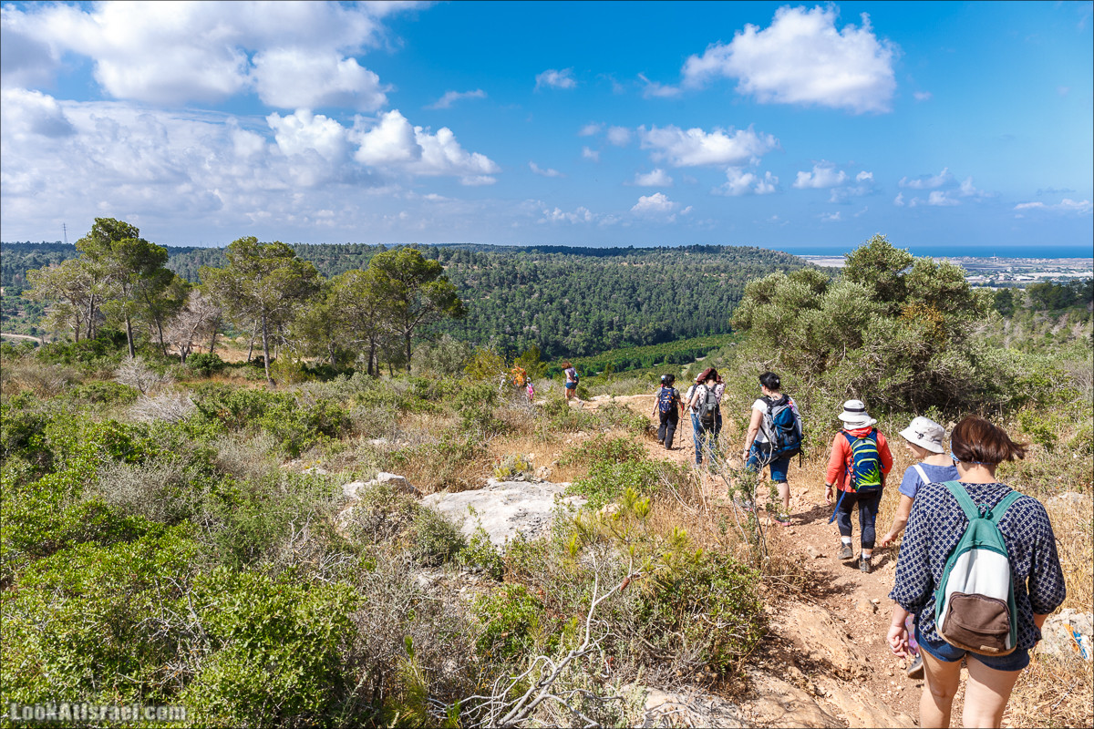 Прогулка по лесу Офер на горе Кармель | LookAtIsrael.com - Фото путешествия по Израилю