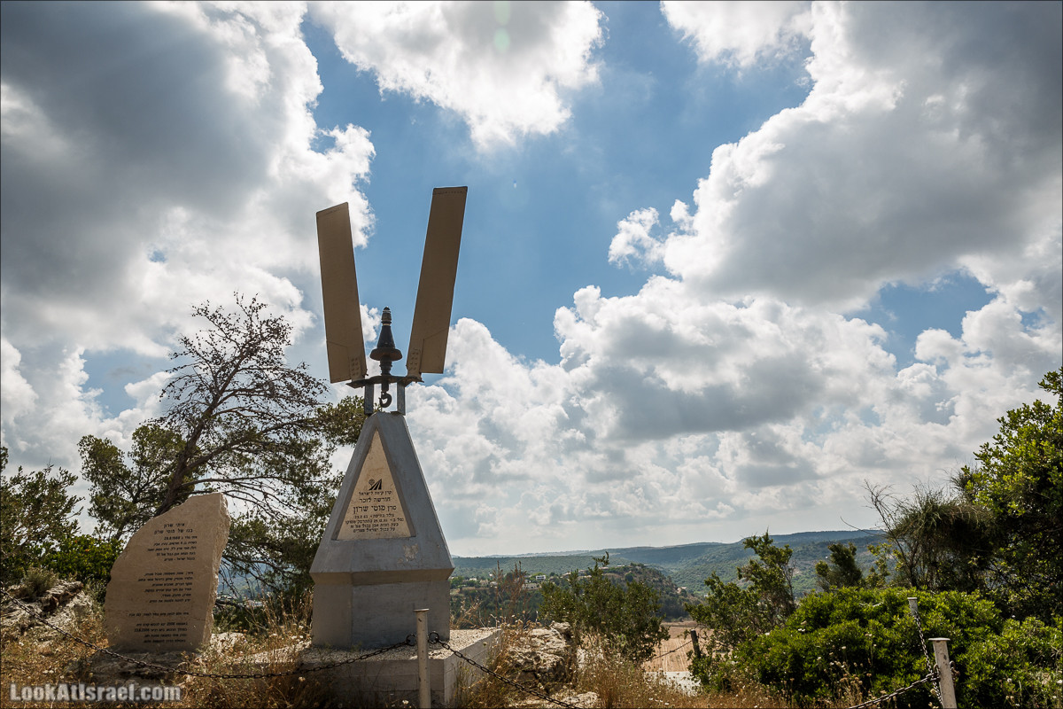 Прогулка по лесу Офер на горе Кармель | LookAtIsrael.com - Фото путешествия по Израилю