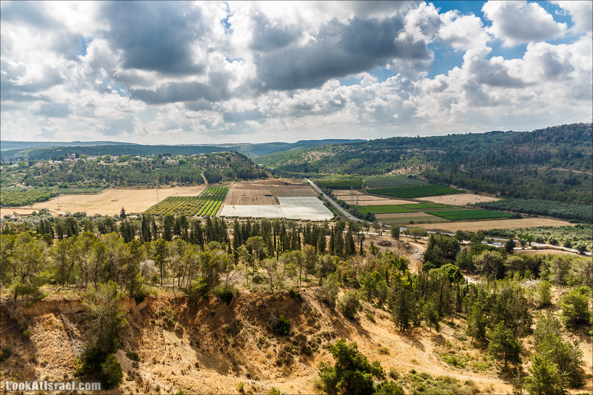 Прогулка по лесу Офер на горе Кармель | LookAtIsrael.com - Фото путешествия по Израилю
