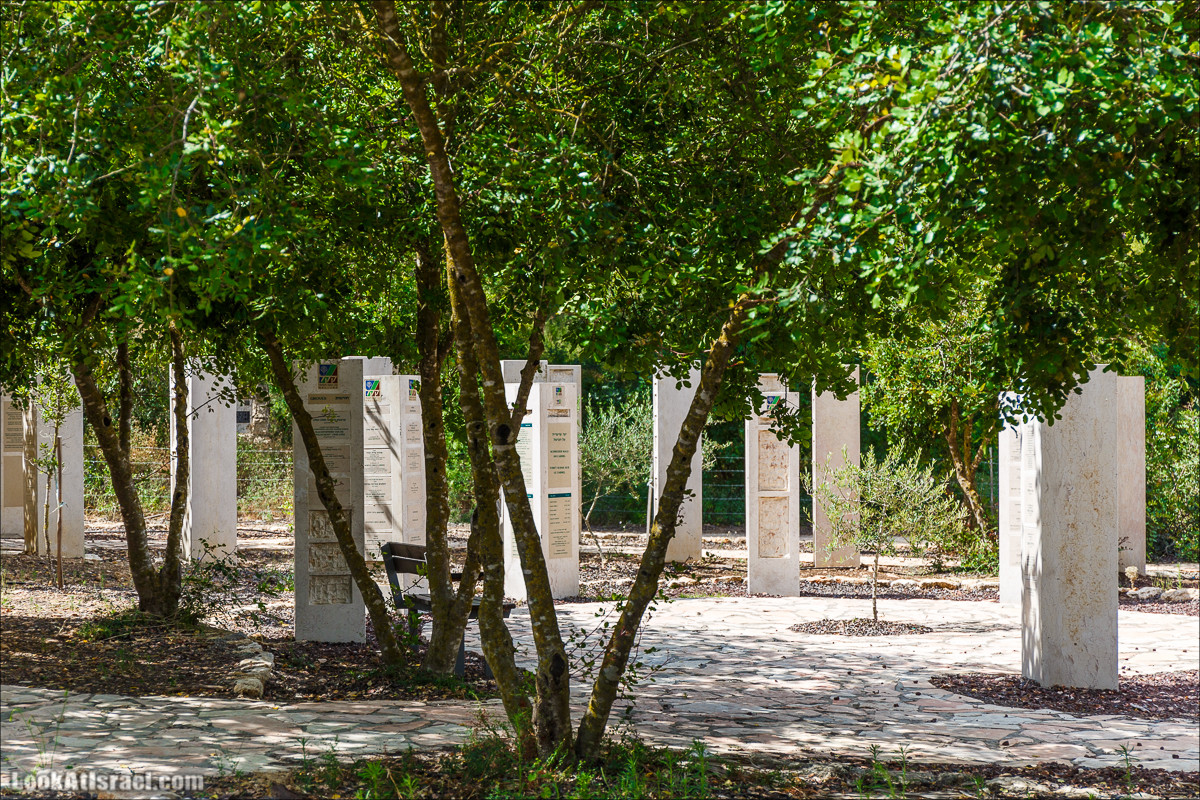 Прогулка по лесу Офер на горе Кармель | LookAtIsrael.com - Фото путешествия по Израилю