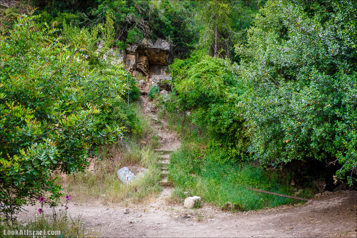 Прогулка по лесу Офер на горе Кармель | LookAtIsrael.com - Фото путешествия по Израилю