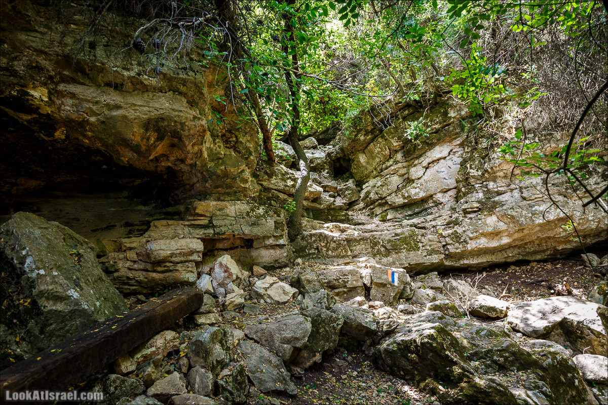 Прогулка по лесу Офер на горе Кармель | LookAtIsrael.com - Фото путешествия по Израилю
