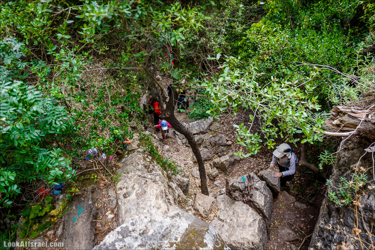 Прогулка по лесу Офер на горе Кармель | LookAtIsrael.com - Фото путешествия по Израилю
