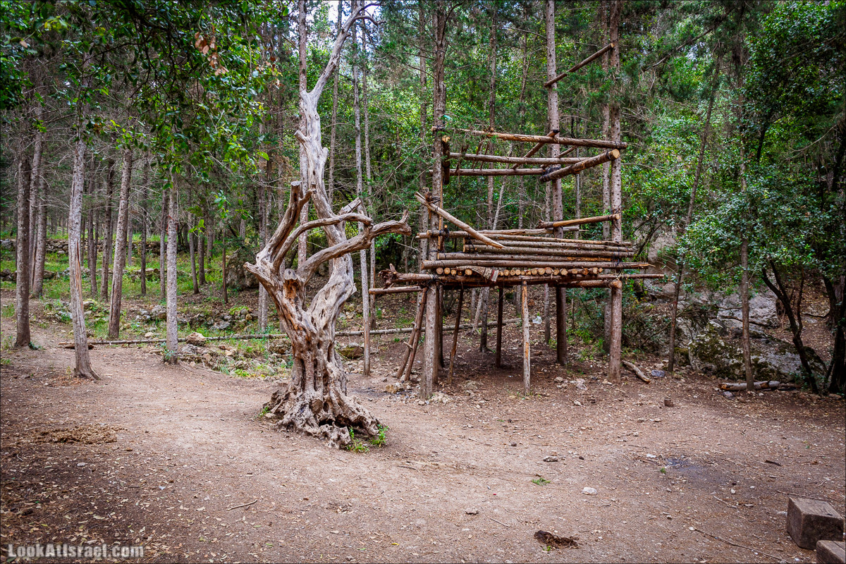 Прогулка по лесу Офер на горе Кармель | LookAtIsrael.com - Фото путешествия по Израилю