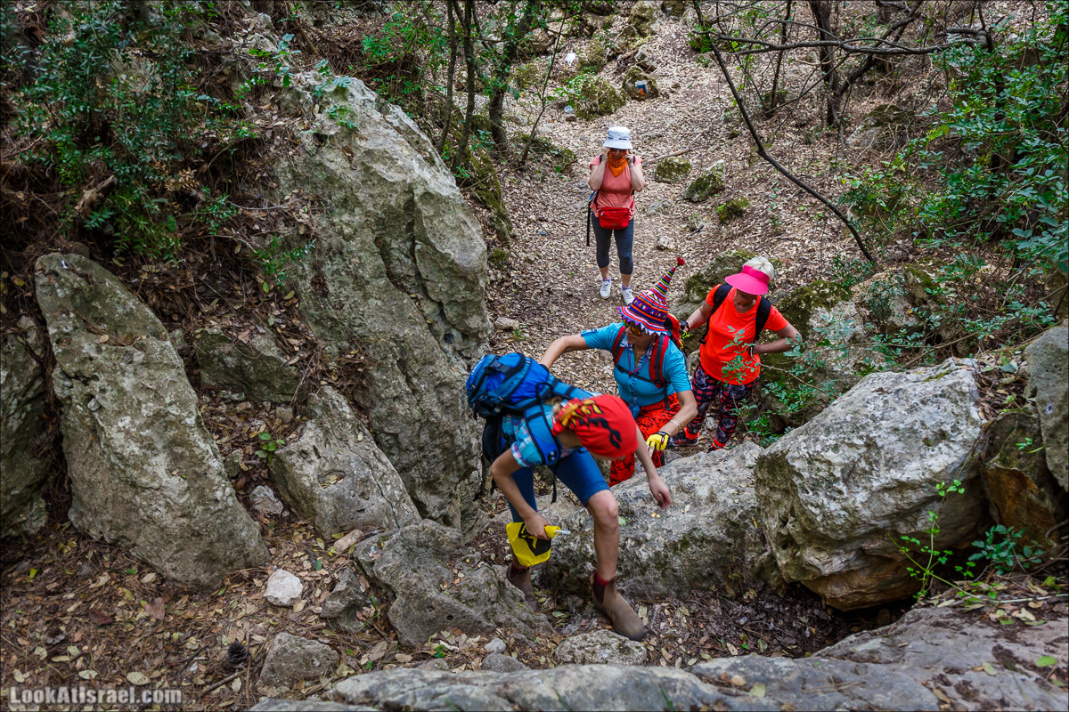 Прогулка по лесу Офер на горе Кармель | LookAtIsrael.com - Фото путешествия по Израилю