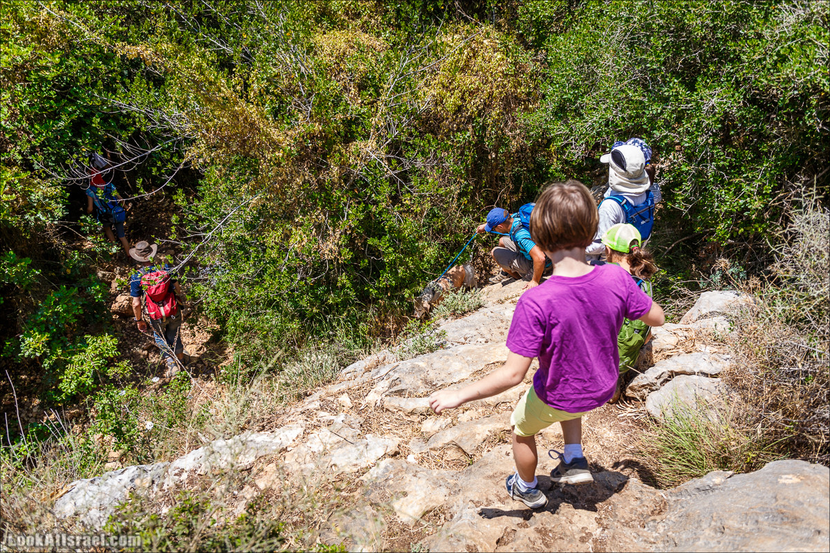 Прогулка по лесу Офер на горе Кармель | LookAtIsrael.com - Фото путешествия по Израилю