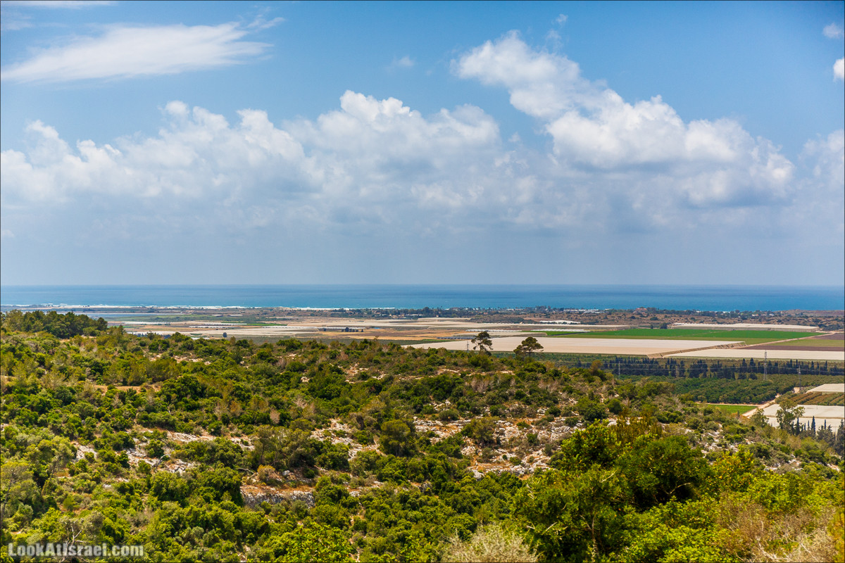 Прогулка по лесу Офер на горе Кармель | LookAtIsrael.com - Фото путешествия по Израилю
