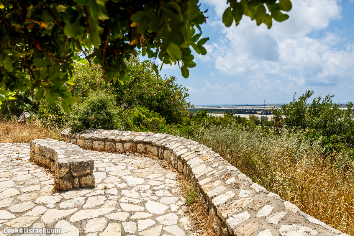 Прогулка по лесу Офер на горе Кармель | LookAtIsrael.com - Фото путешествия по Израилю