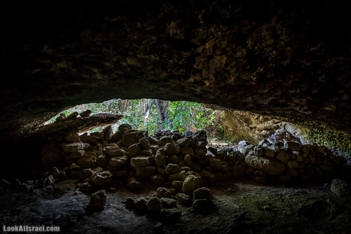 Прогулка по лесу Офер на горе Кармель | LookAtIsrael.com - Фото путешествия по Израилю