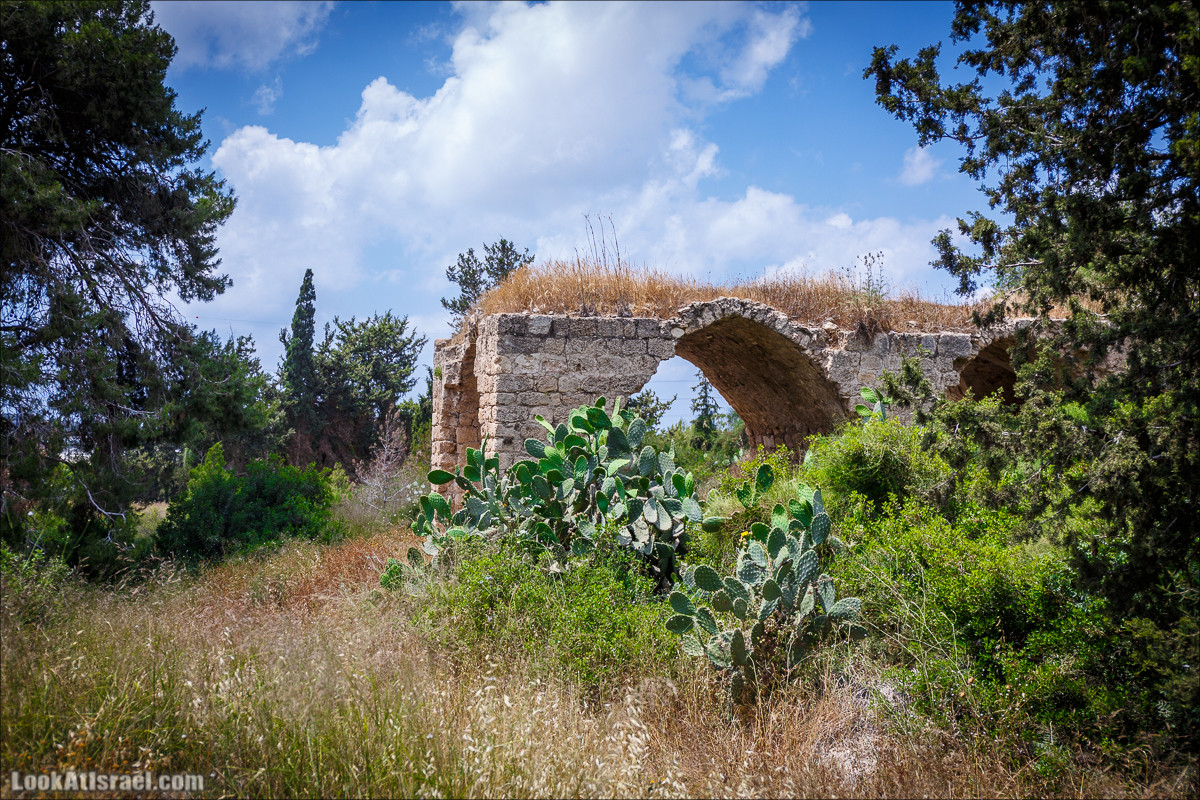 Прогулка по лесу Офер на горе Кармель | LookAtIsrael.com - Фото путешествия по Израилю