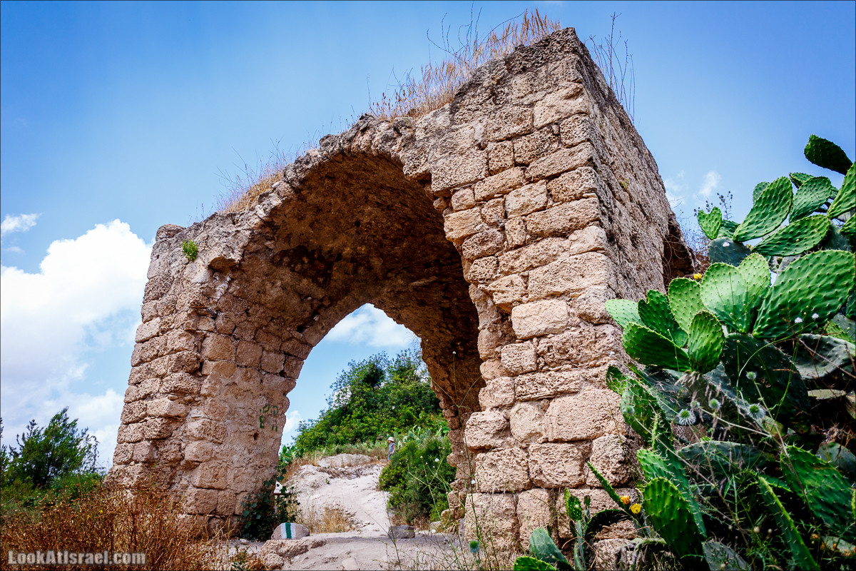 Прогулка по лесу Офер на горе Кармель | LookAtIsrael.com - Фото путешествия по Израилю