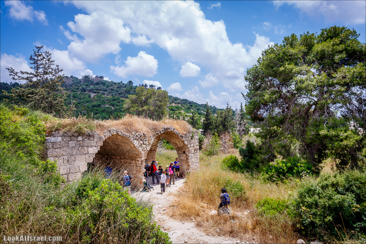 Прогулка по лесу Офер на горе Кармель | LookAtIsrael.com - Фото путешествия по Израилю