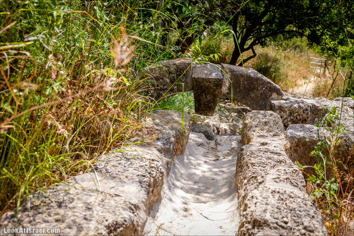 Прогулка по лесу Офер на горе Кармель | LookAtIsrael.com - Фото путешествия по Израилю