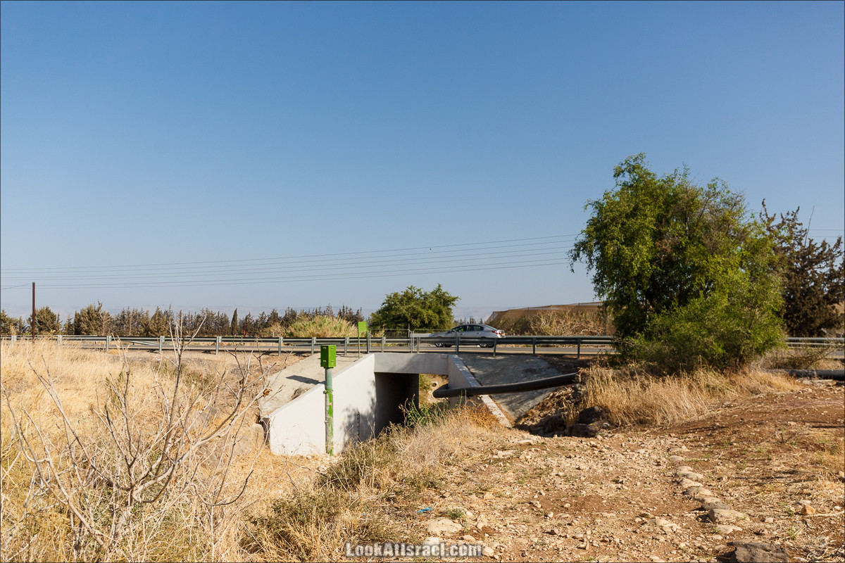 Автографы от Моря до Моря | LookAtIsrael.com - Фото путешествия по Израилю