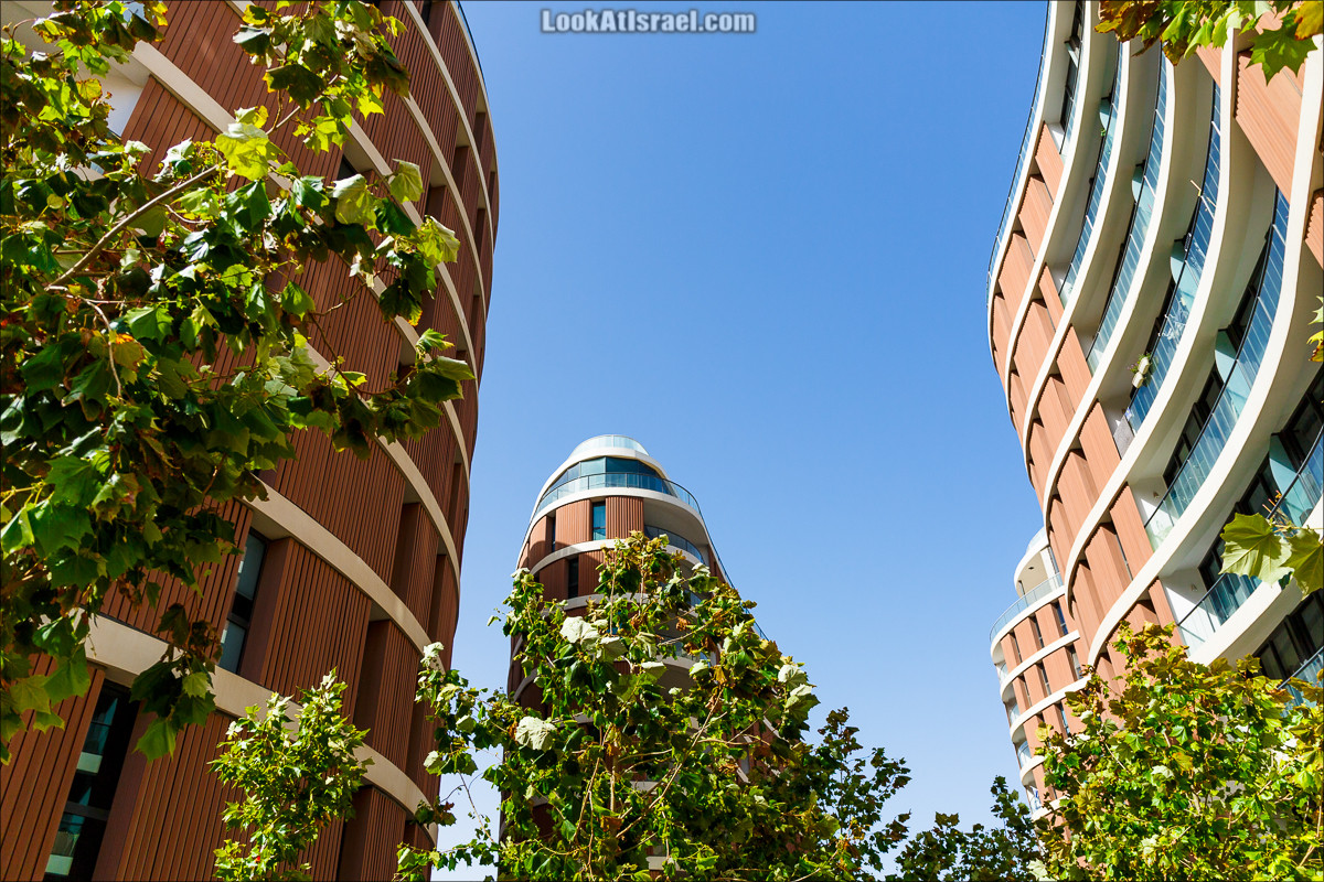 Крошки Тель-Авива - случайные фотографии из жизни Тель-Авива | LookAtIsrael.com - Фото путешествия по Израилю