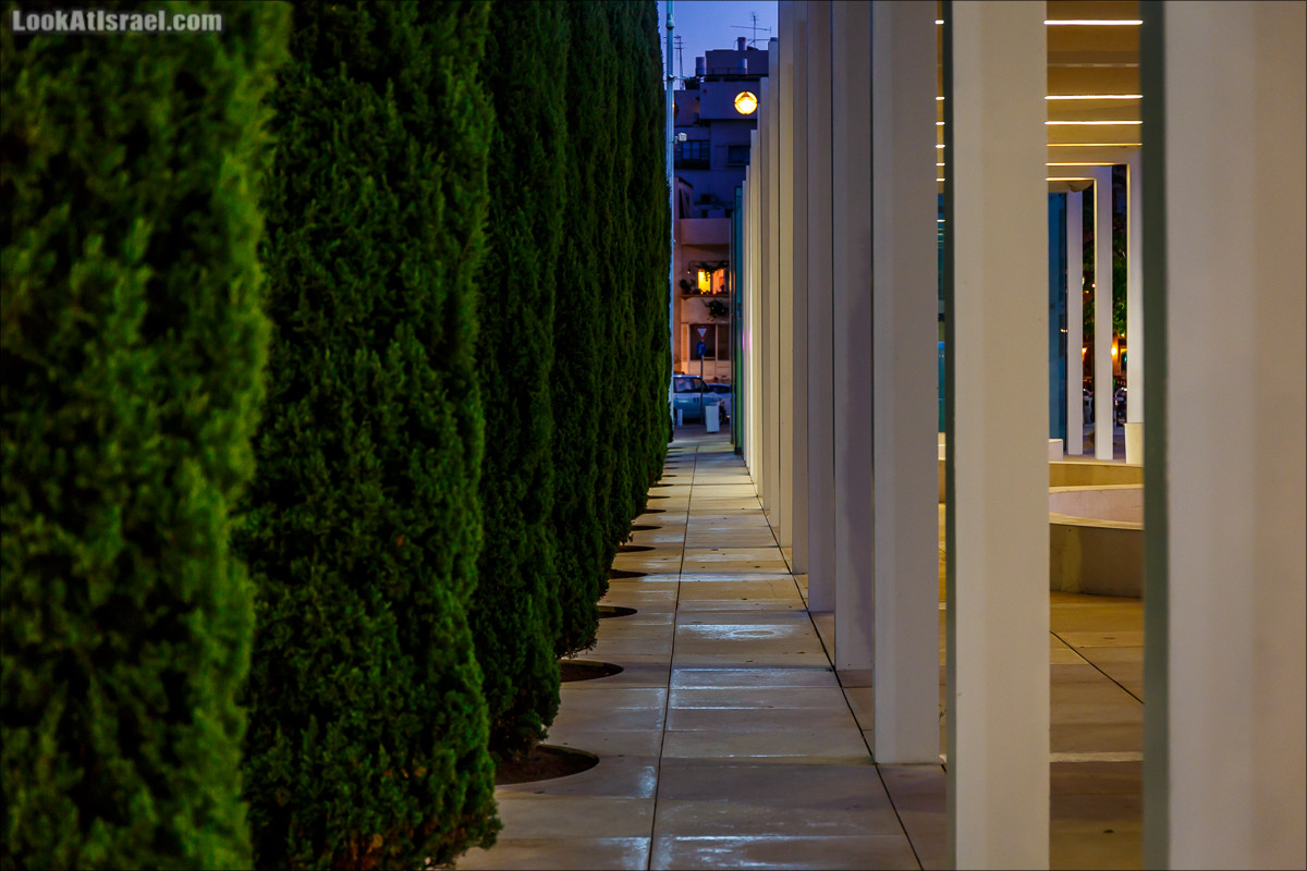 Крошки Тель-Авива - случайные фотографии из жизни Тель-Авива | LookAtIsrael.com - Фото путешествия по Израилю